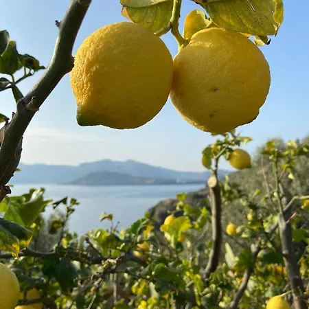 House Sole - Unique Panorama Lipari (Isola Lipari)